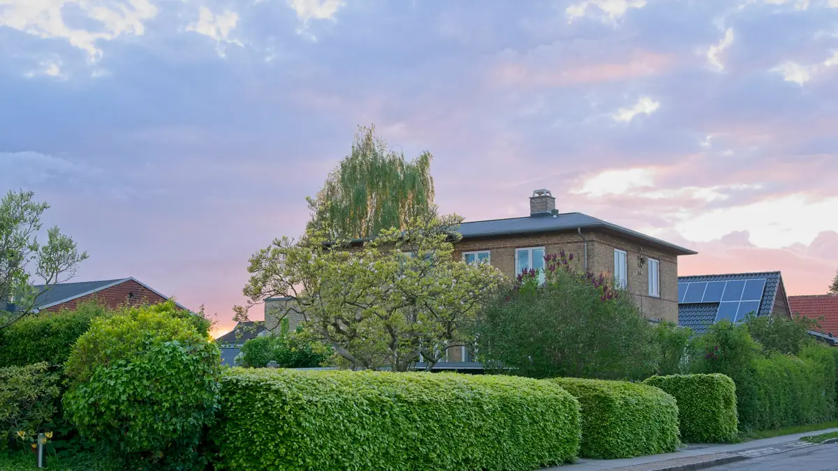 Strak gesnoeide lage hagen langs het trottoir voor een bakstenen woning in de avondlucht